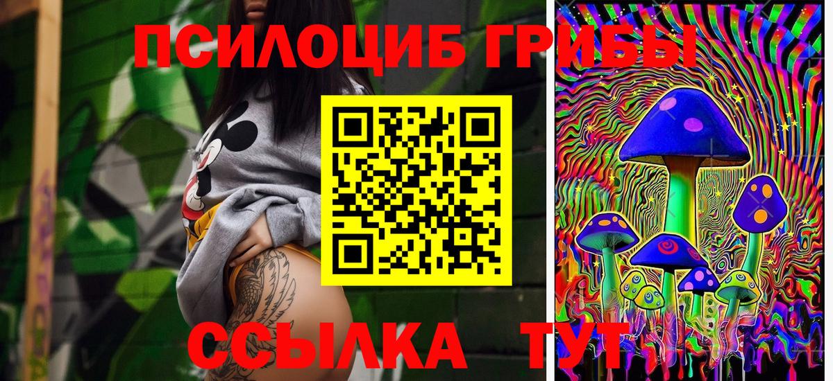 Псилоцибиновые грибы GOLDEN TEACHER  Псилоцибиновые грибы Cubensis  Вход с VPN  купить   Малоярославец 